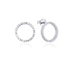 עגיל מעגל החיים